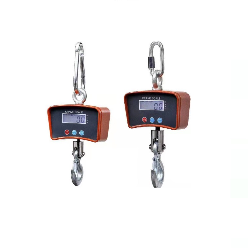Rechargeable Battery 500kg 2000lb 1 Ton 1000kg Mini Hanging OCS Digital Weighing Crane Scale
