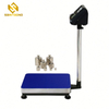 BS01B 60kg-300kg Heavy Duty Manual Digital Dial Industrial Weighing Balanzas Calibration of Electronic Platform Scale