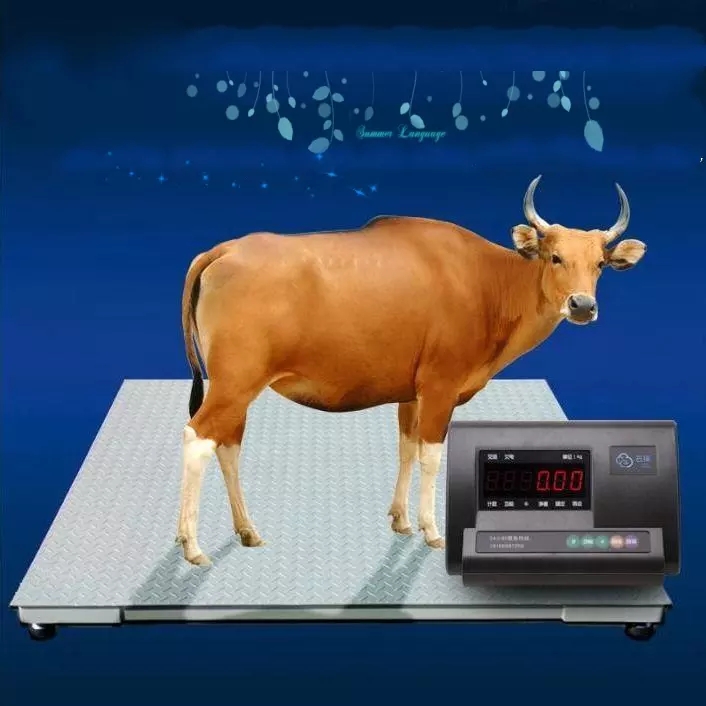 Animal Farm Livestock Scales Animal Scales for Horse