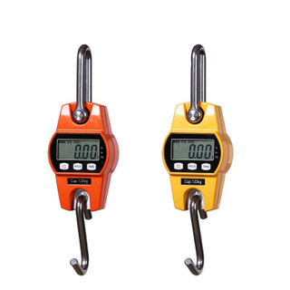 OCS Scale Digital Hanging Crane Scale 30kg To 300kg