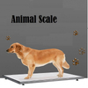 Homemade Pig Digital Weight Horse Stainless Steel Animal Livestock Economy Sheep Weighing Crate & Scale