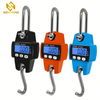 CS-A Mini Weighing 300 Kg / 600 Lbs Industrial Crane Scale for Farm Factory