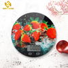 PKS006 Best Sale Manual Electronic Kitchen Scale With Ce