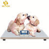 60kg-300kg Electronic Digital Postal Scale/waterproof Platform Scale Manual Weighing Platform Scale