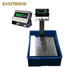 Series Scales Splashproof Washdown Waterproof Platform Bench Stainless Steel Food Industry Scale