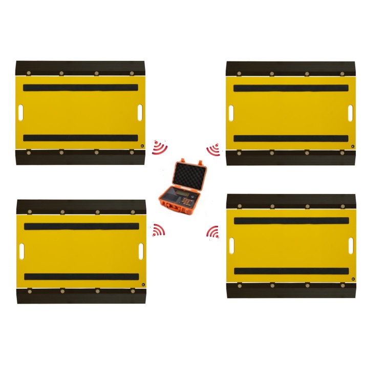 Customize Dynamic Axle Scale connected scale body