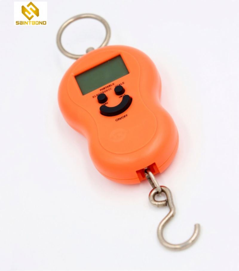 OCS-1 Mini 200Kg/100G Heavy Duty Electronic Digital Hook Hanging Crane Scale