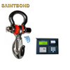 Portable Lcd Mini Industrial Crane Digital Weighing 10000 Kg Hook Electronics Weigh Scale Manufacturers