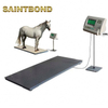 Cattle & Agricultural Livestock Weighing Systems Horse Weighbridge Price Stainless Steel For Small Animal Scale