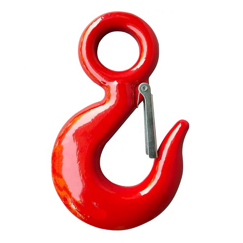 Hot Selling Hook with High Strength 30 T --- Hanging Hook with Lock