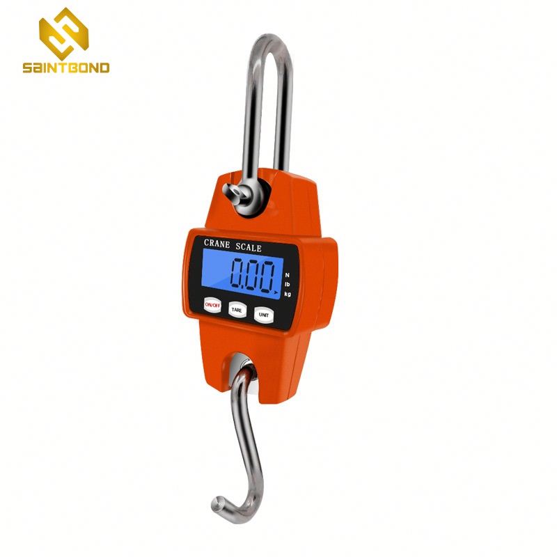 CS-A Mini Weighing 300 Kg / 600 Lbs Industrial Crane Scale for Farm Factory