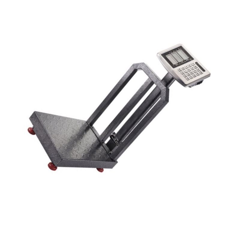 Industrial Use Price Computing Weighing Scales 600kg/1000kg LED/LCD Display Electronic Platform Weighing Scale