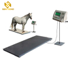 Paul Scales Animal Manufacturers Portable Livestock Suppliers Sheep And Goat Weighing Cow Scale