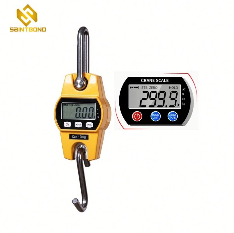 CS-A Mini Weighing 300 Kg / 600 Lbs Industrial Crane Scale for Farm Factory