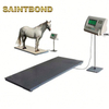 Great Durability Sheep Horse Weighing Scale Stainless Steel Platform And Rubber Mat Dog Scales