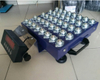 Weighing Floor Scale Ball Top Platter Floor Scale with Ball Top Platter